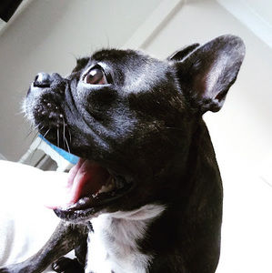 Meet your Posher, Kylie